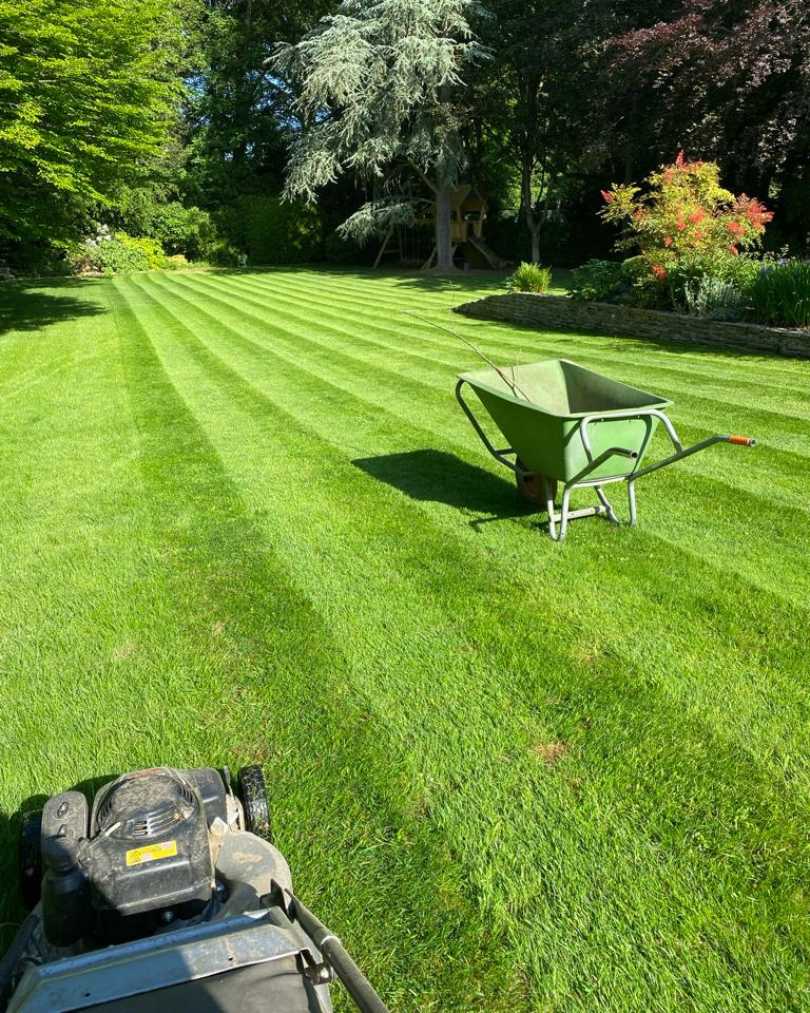 Tuinonderhoud in Edegem door Dierckx Tuinwerken