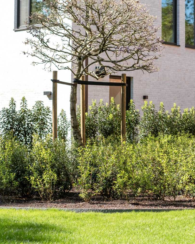 Tuinaanleg in Rijmenam door Dierckx Tuinwerken, project Peulisbaan