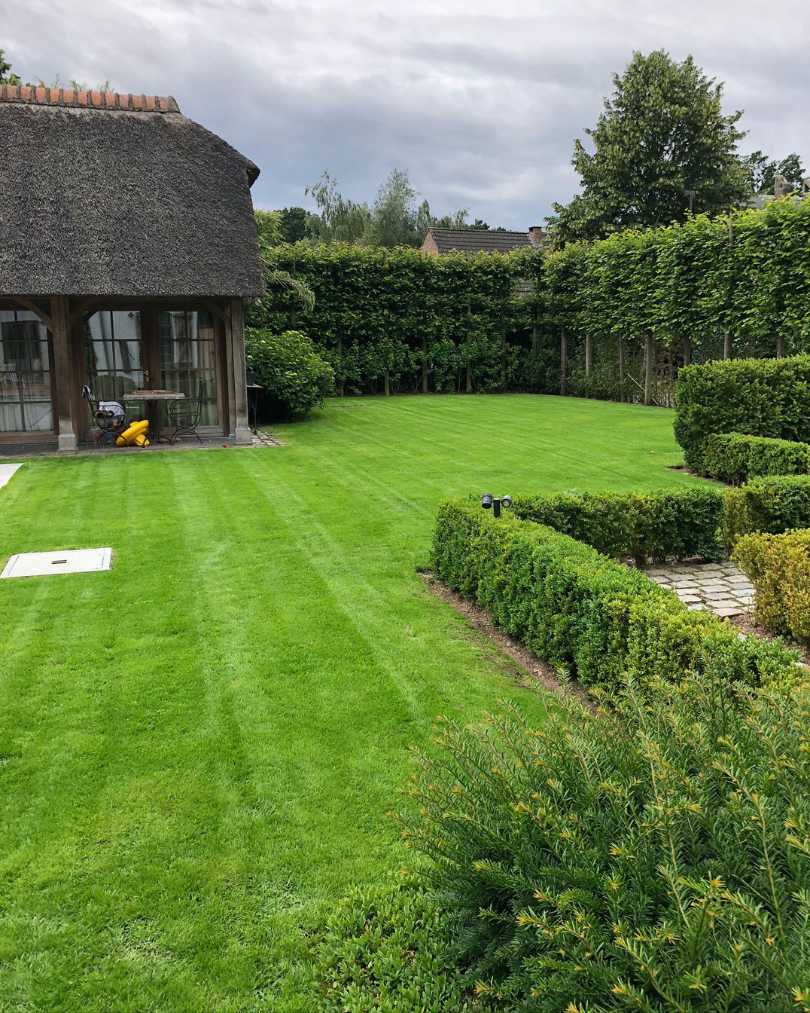 Tuinonderhoud door Dierckx Tuinwerken